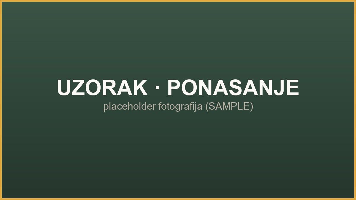 Uzorak fotografije (SAMPLE) — ponašanje mačaka